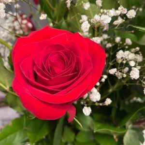 Meet your Posher, Cathy